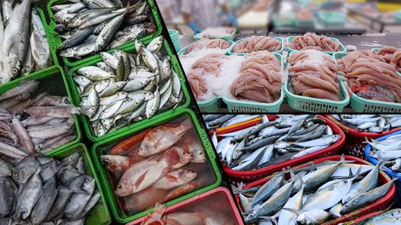 Frozen Seafood Export in Chirala and Ongole